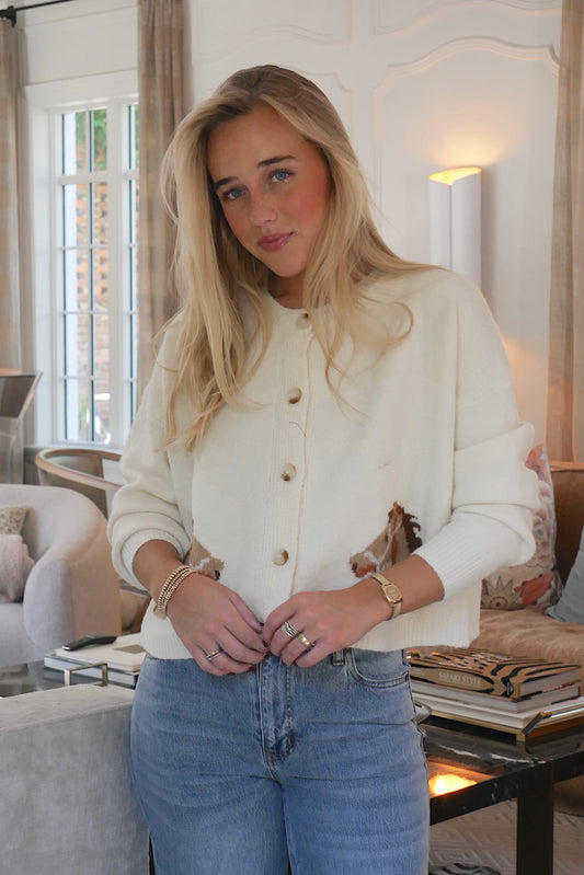 Western Cardigan Sweater In Cream