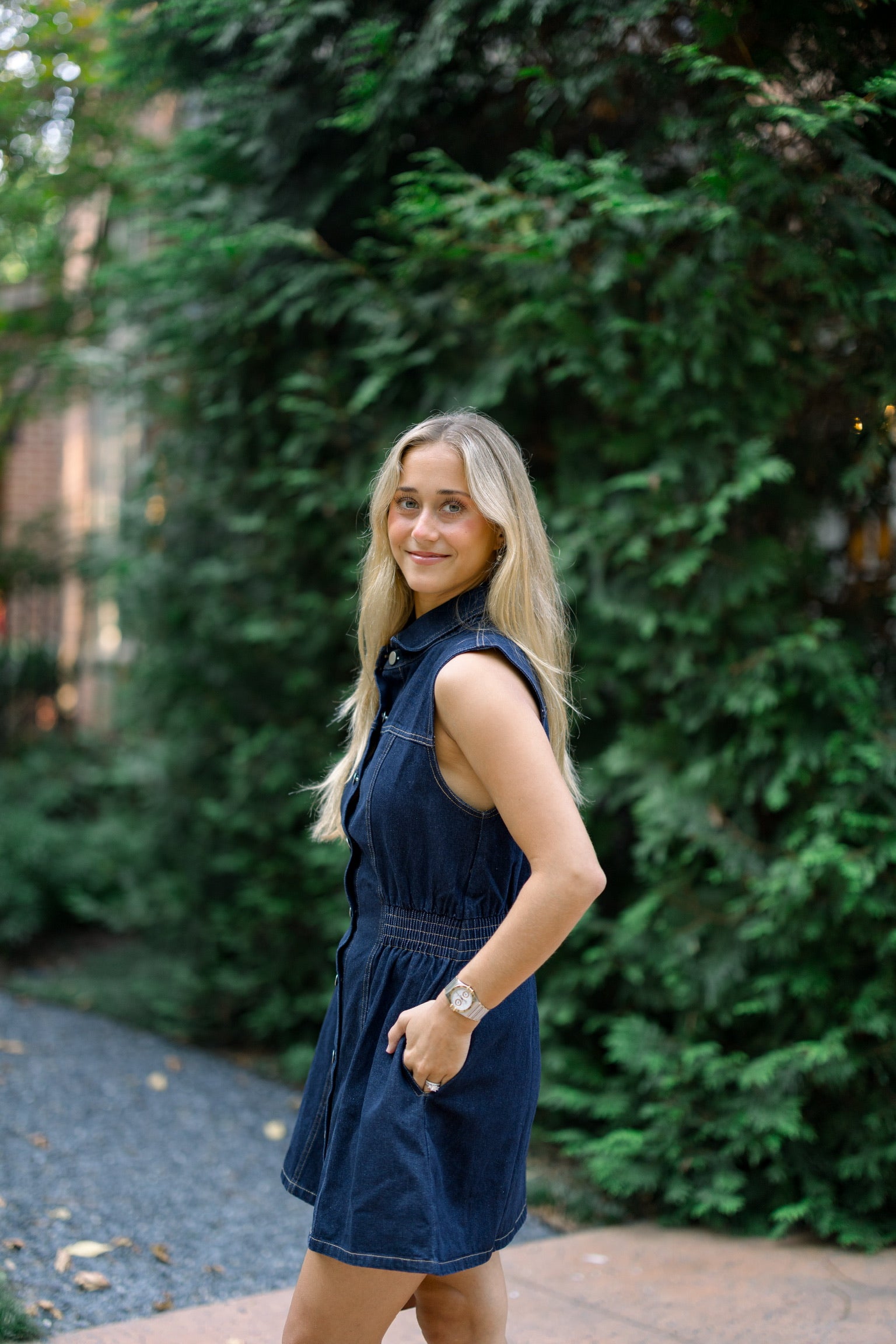 Louise Denim Dress