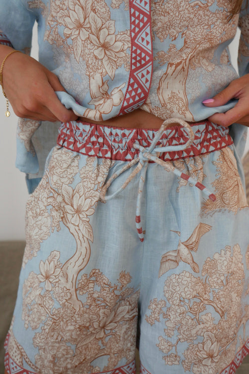 Africa Light Blue Shorts