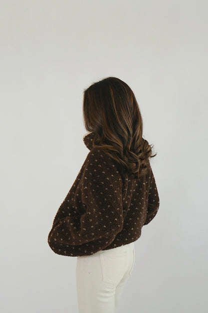 The Aspen Fleece Jacket In Brown